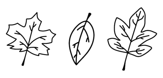 Set doodle geïsoleerde herfstbladeren. collectie van handgetekende gevallen bladeren. vector overzicht herfst