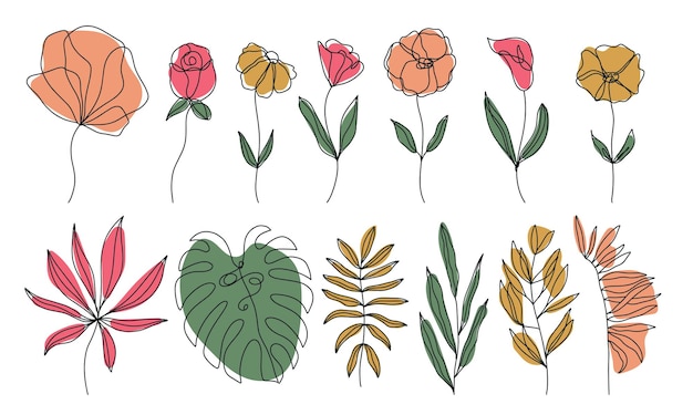 Set of doodle hand drawn floral elements with color shapes