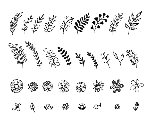 Set of doodle illustrations of twigs and flowers for the design and decorations of various postcards and posters Different floral design elements isolated on white background