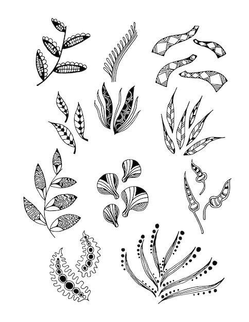 Set of Doodle Leaves hand draw vector