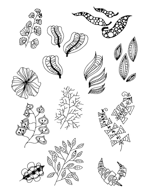 Set of Doodle Leaves hand draw vector