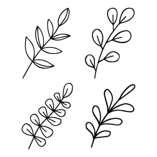 Set of doodle line art hand drawn brunch with leaves black in white background