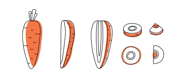 Set di carote a forma di doodle con macchie pezzi interi e foglie illustrazione vettoriale per l'imballaggio
