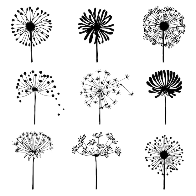 Vector set doodle paardebloemen