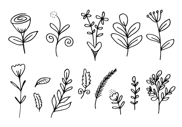 Set of doodle sketch flowers on white background. Vector illustration.