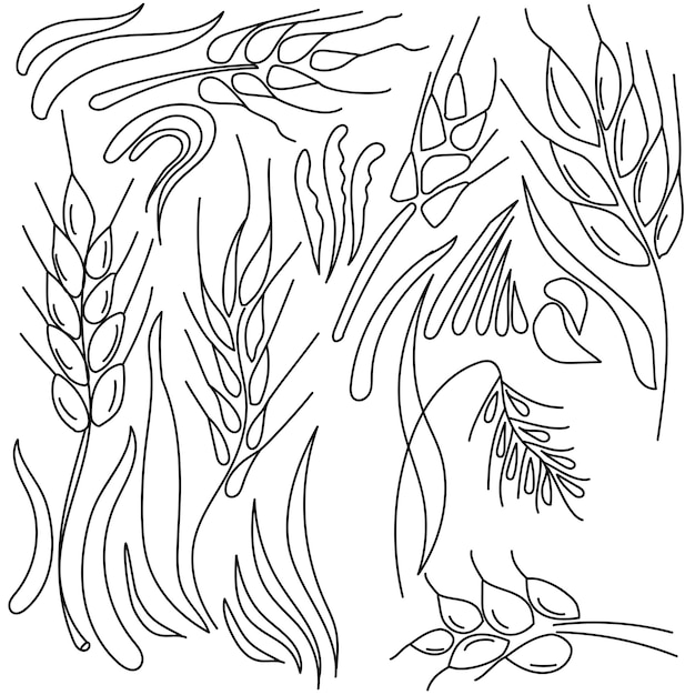 Set of doodle vector spikelets herb details for design