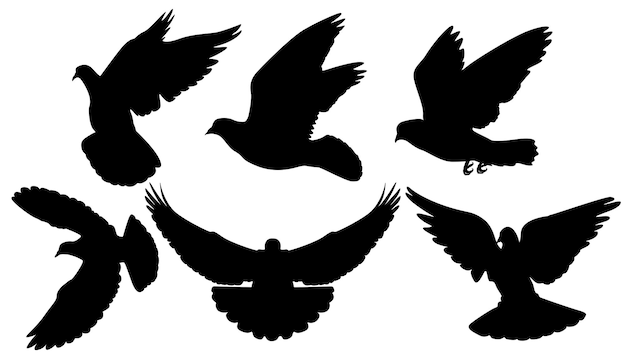 Настроенные голубиные птицы черный силуэт животные иконы векторная иллюстрация