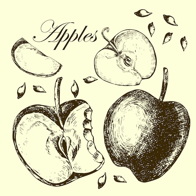 Vector set of drawing apples illustrations
