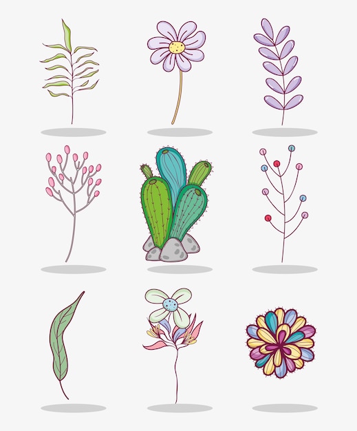 Set of drawing flowers collection