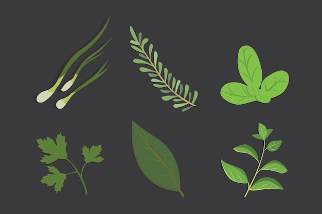 Vector set of drawing herbs and flowers, vector. isolated spices. herbal illustration.