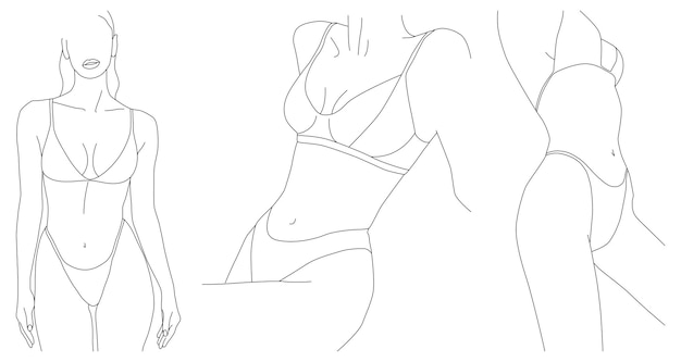 Vector a set for drawing lines of the female body