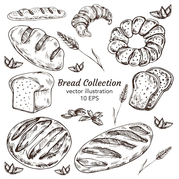 Set of drawings bakery theme. cakes, pies, Bread and pastry collection. Bread house.