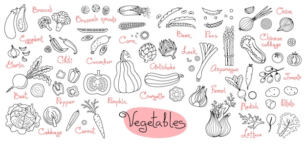 Impostare disegni di verdure per menu di design, ricette e pacchetti di prodotti