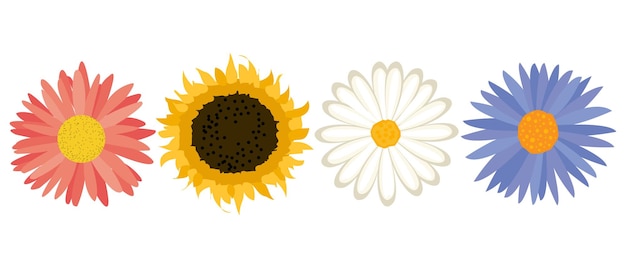 Set di fiori disegnati girasole crisantemo e camomilla su sfondo bianco stampa