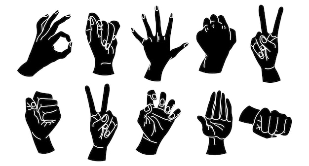 Vector set of drawn human hands. a set of hands in a collection of various gestures. illustration, vector