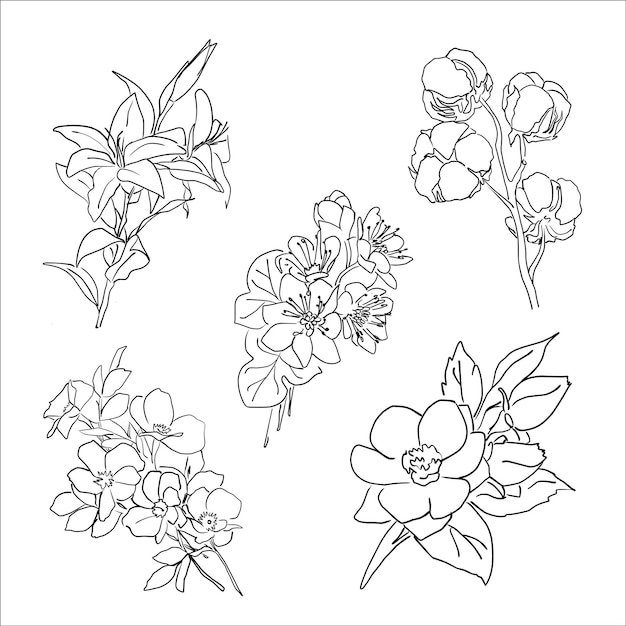 Vector set of drawn linear flowers cartoon sketch on a white background
