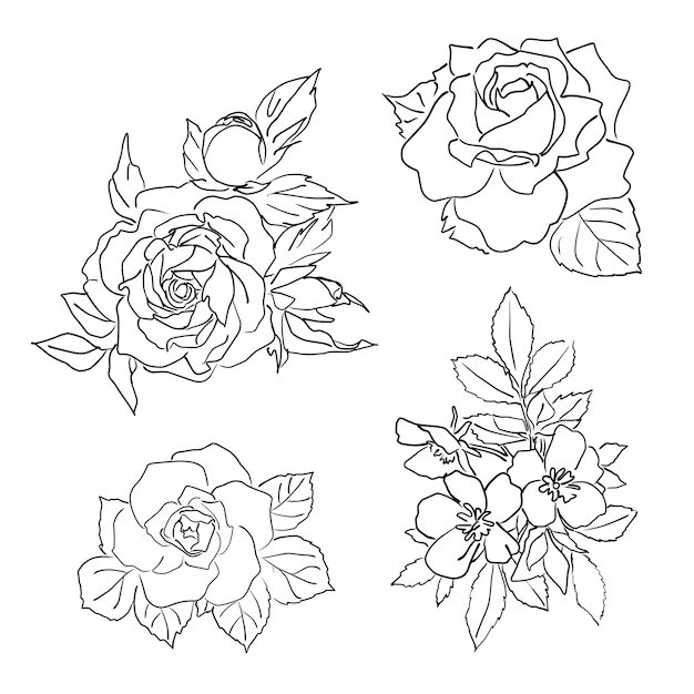 Set of drawn linear flowers cartoon sketch on a white background