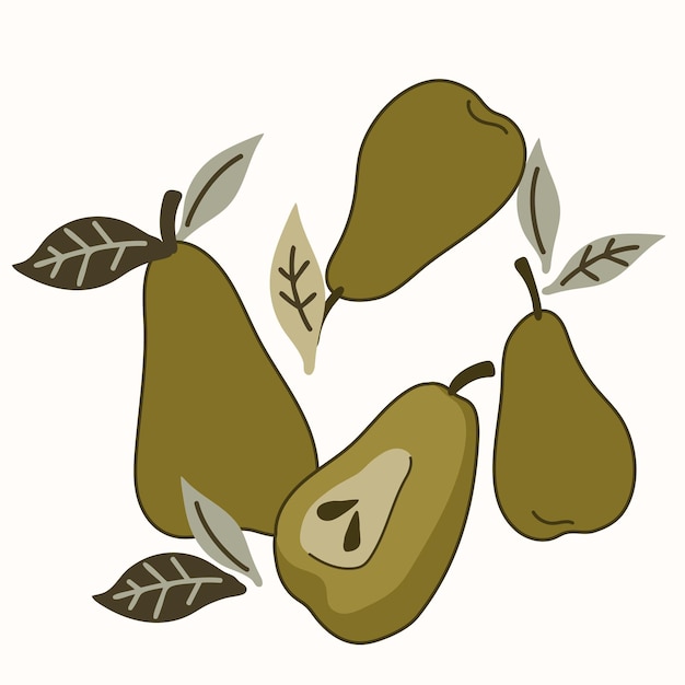 Set of drawn pears Isolated elements for design