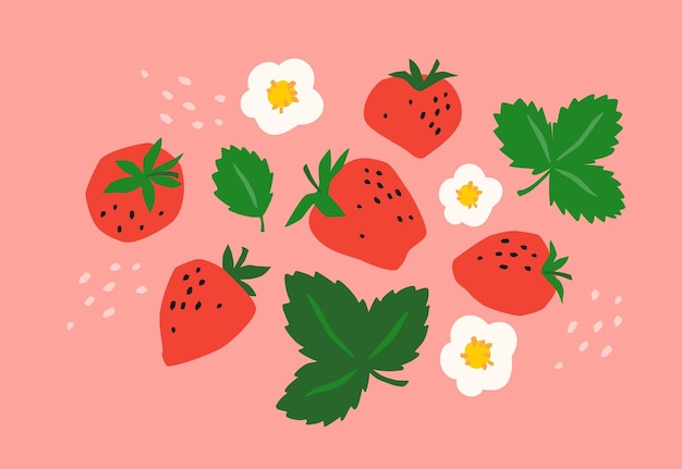 Set of drawn strawberry Vector illustration Isolated elements for design