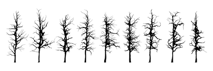 Vector set of drawn trees without leaves drawing on white background