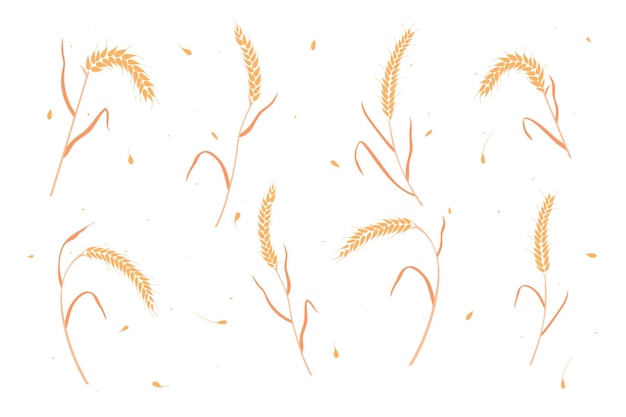 Insieme dell'illustrazione piana di vettore di progettazione di stile piano delle orecchie del grano di segale o del grano secco