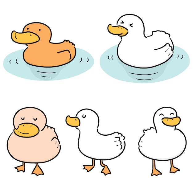 Vector set of duck