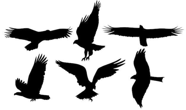 セット 鷹の鳥 黒いシルエット 動物のアイコン ベクトルイラスト