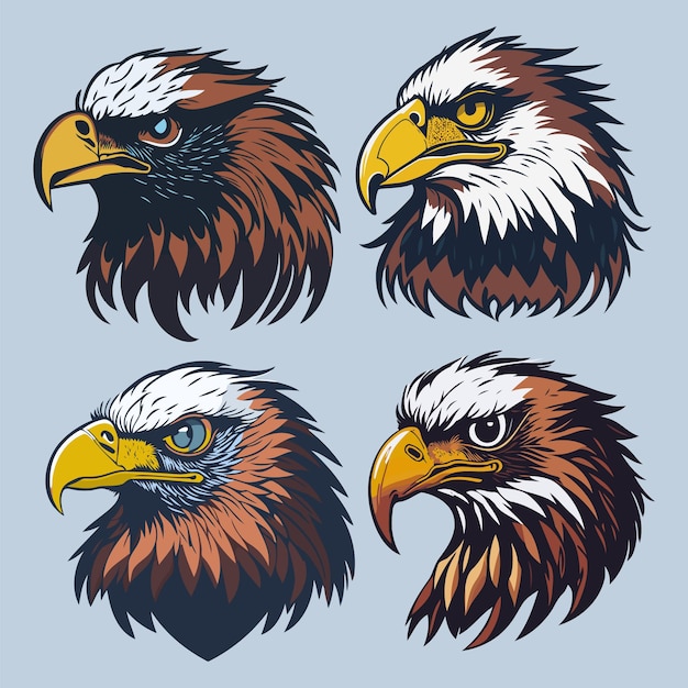 Vector a set of eagle head vector art and illustration