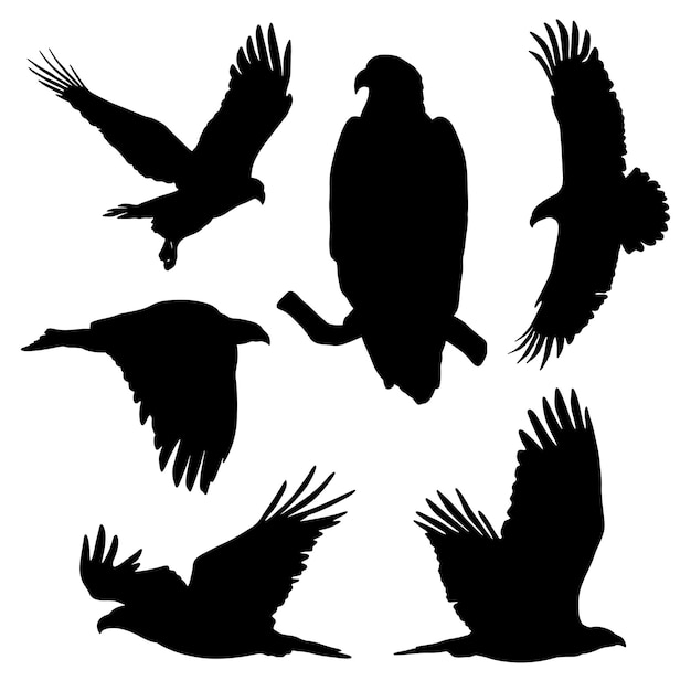 Set of eagle silhouette vector