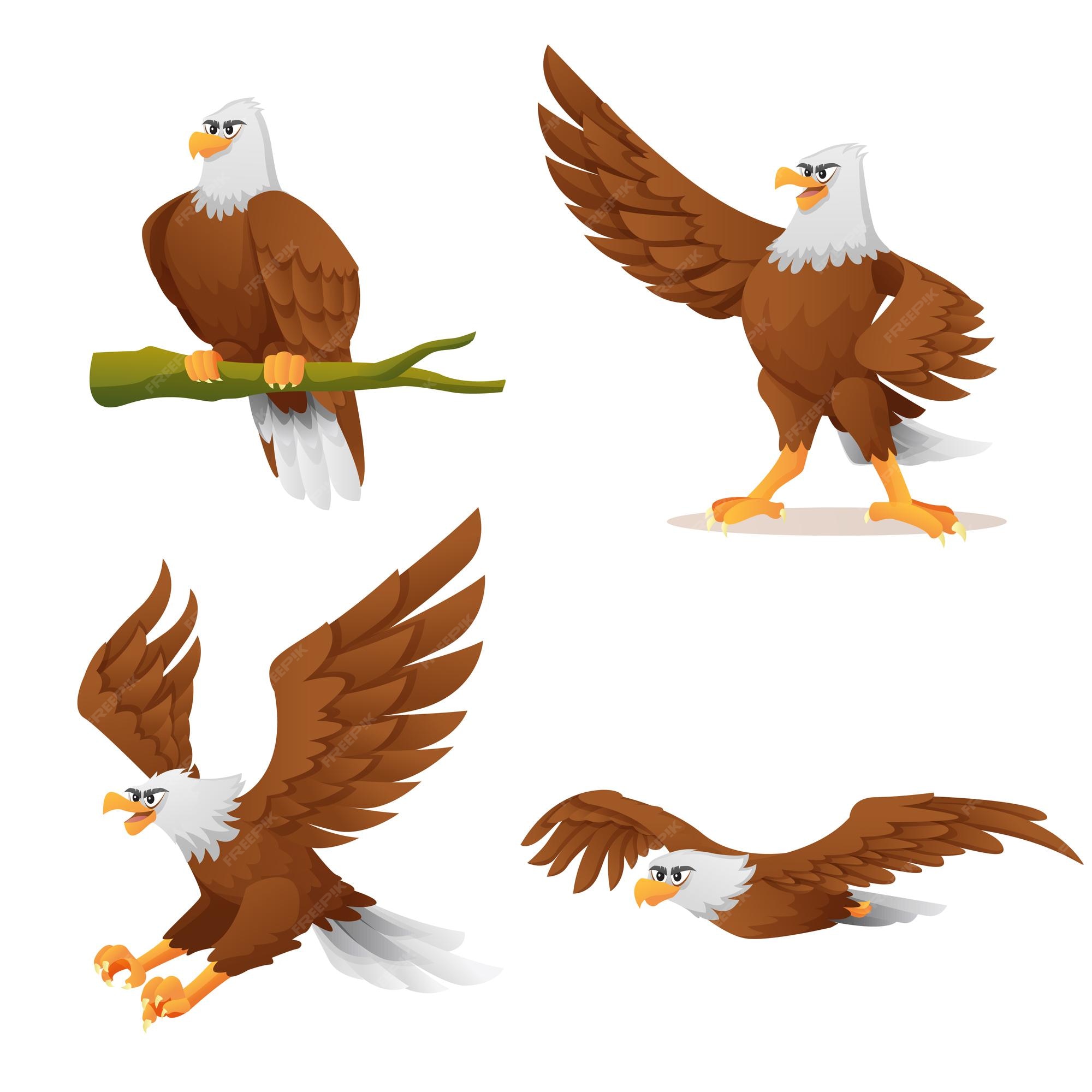Bald Eagle Cartoon Images - Free Download on Freepik