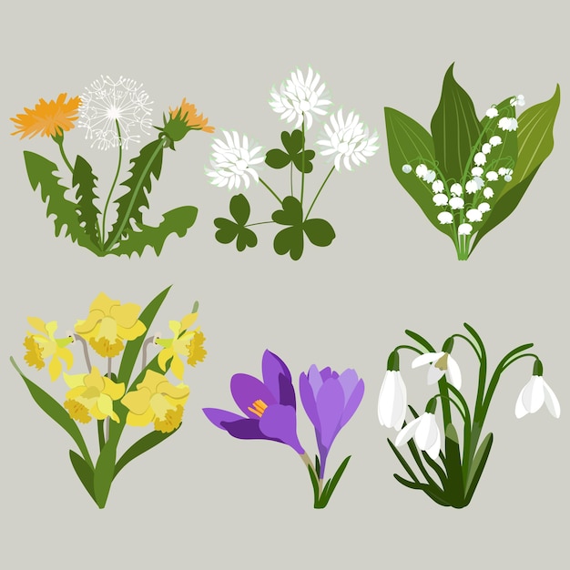 Set of early spring flowers on an isolated background Vector illustration