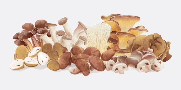 Vector set of edible mushroom group background vintage watercolor vector illustration