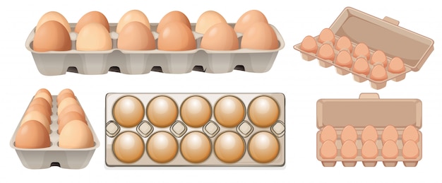 Vector set of egg in different angles