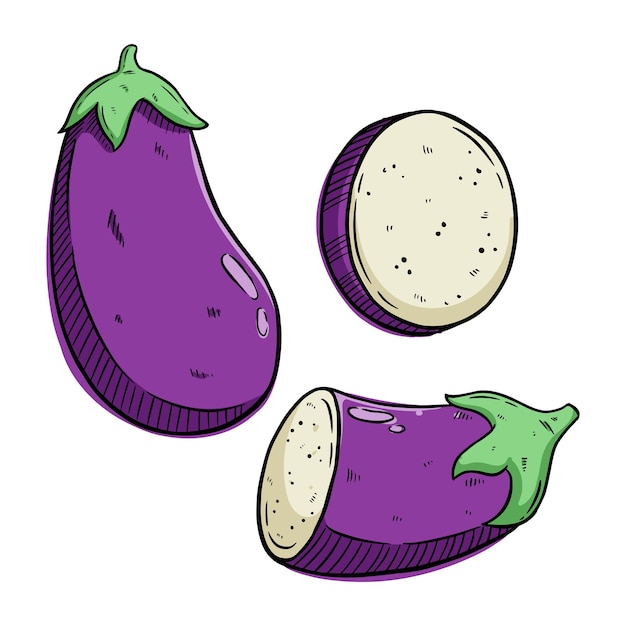 Set of eggplant illustration with colored hand draw style