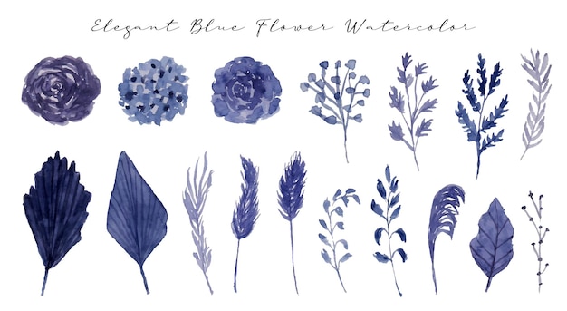 A set of elegant blue dried flower watercolor