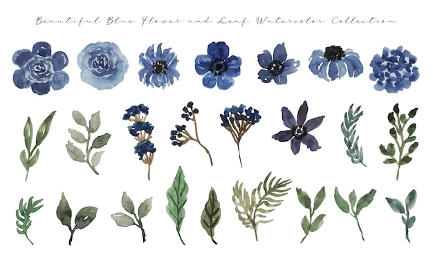 a set of elegant blue flower watercolor