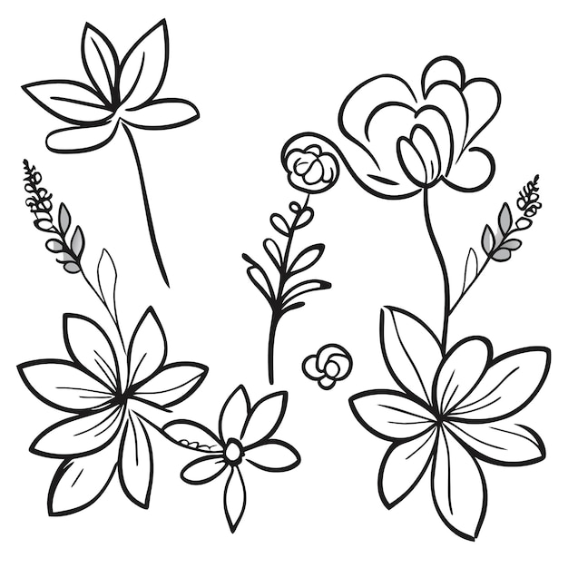 Vector set of elegant frames with leaves or hand drawn floral decoration element set