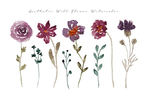 a set of elegant hand painted wild flower watercolor