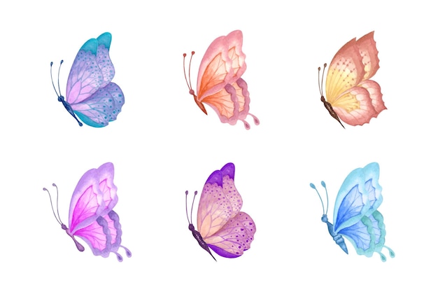 Set di eleganti farfalle colorate adorabili