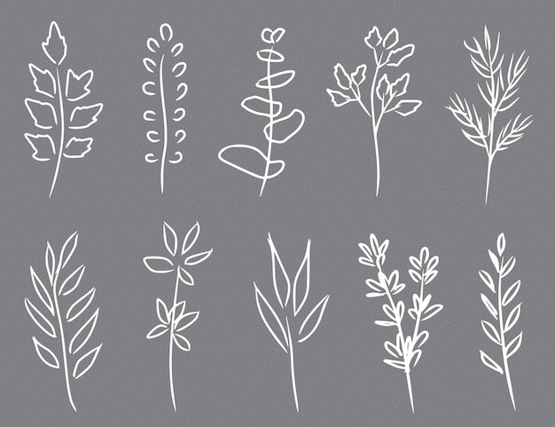 Un insieme di eleganti disegni al tratto bianco di foglie di disegno digitale