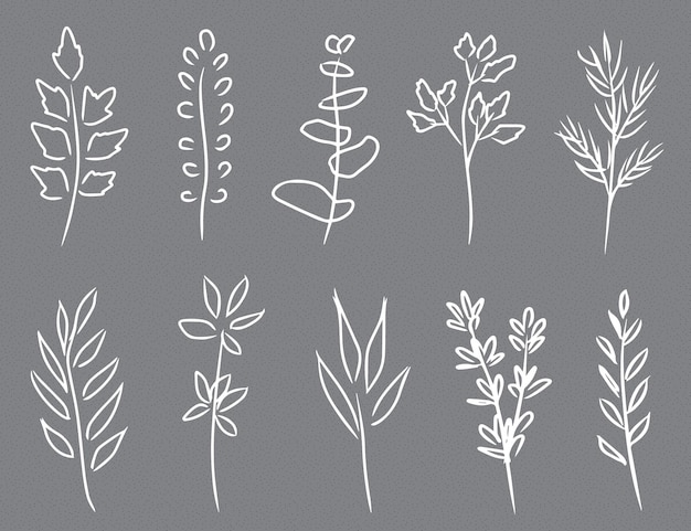 a set of elegant white line art of leaf digital drawing