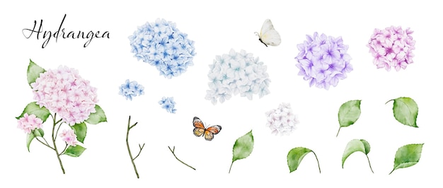 Set elementen handbeschilderd aquarel met veelkleurige boeketten stengels en bladeren van hortensia boeketten en vlinder Vector geïsoleerd op witte achtergrond