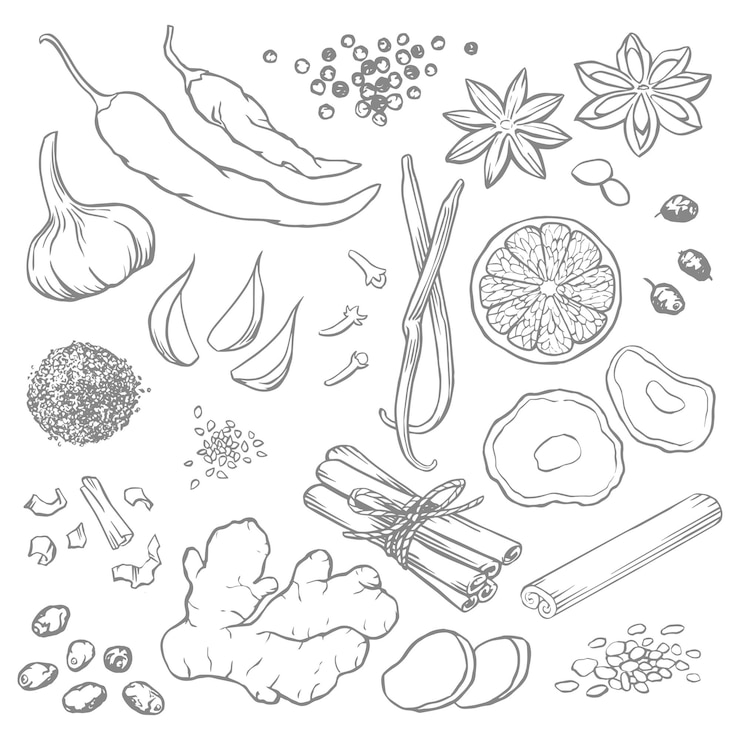 Vector set elementen voor ontwerp specerijen en kruiderijen vector illustraties lijntekeningen