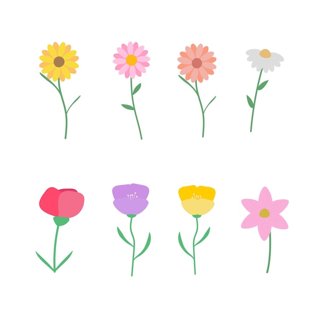 Set of elements of flowers and leaves Vector illustration