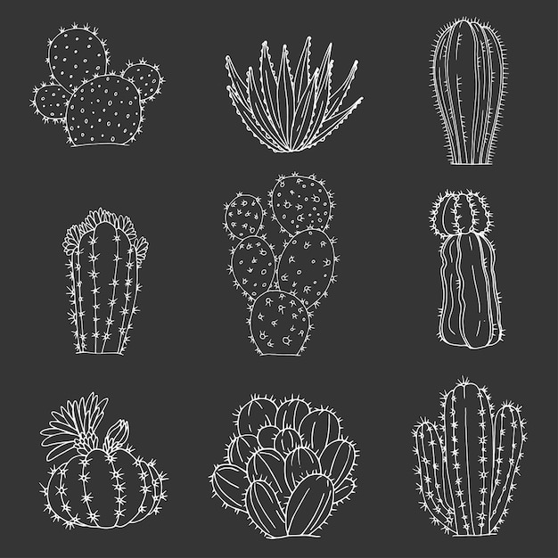 Vector set of elements with hand drawn cacti and succulents on a chalkboard background vector icons in black and white sketch style hand drawn isolated objects