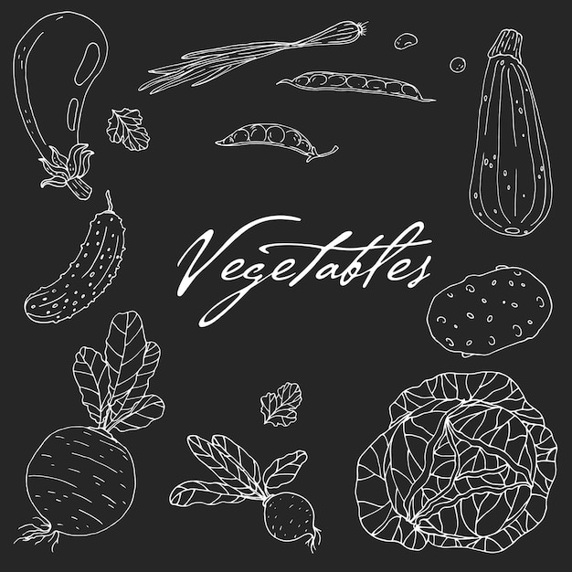 Set of elements with hand drawn vegetables on a chalkboard background Vector icons in black and white sketch style Hand drawn white isolated objects