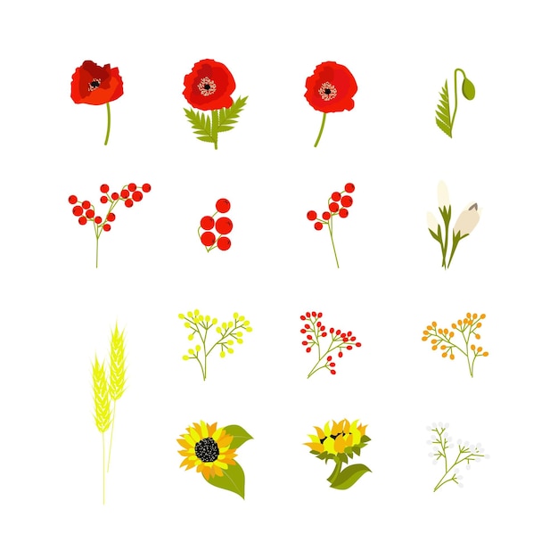 Vector set enkele bloemen