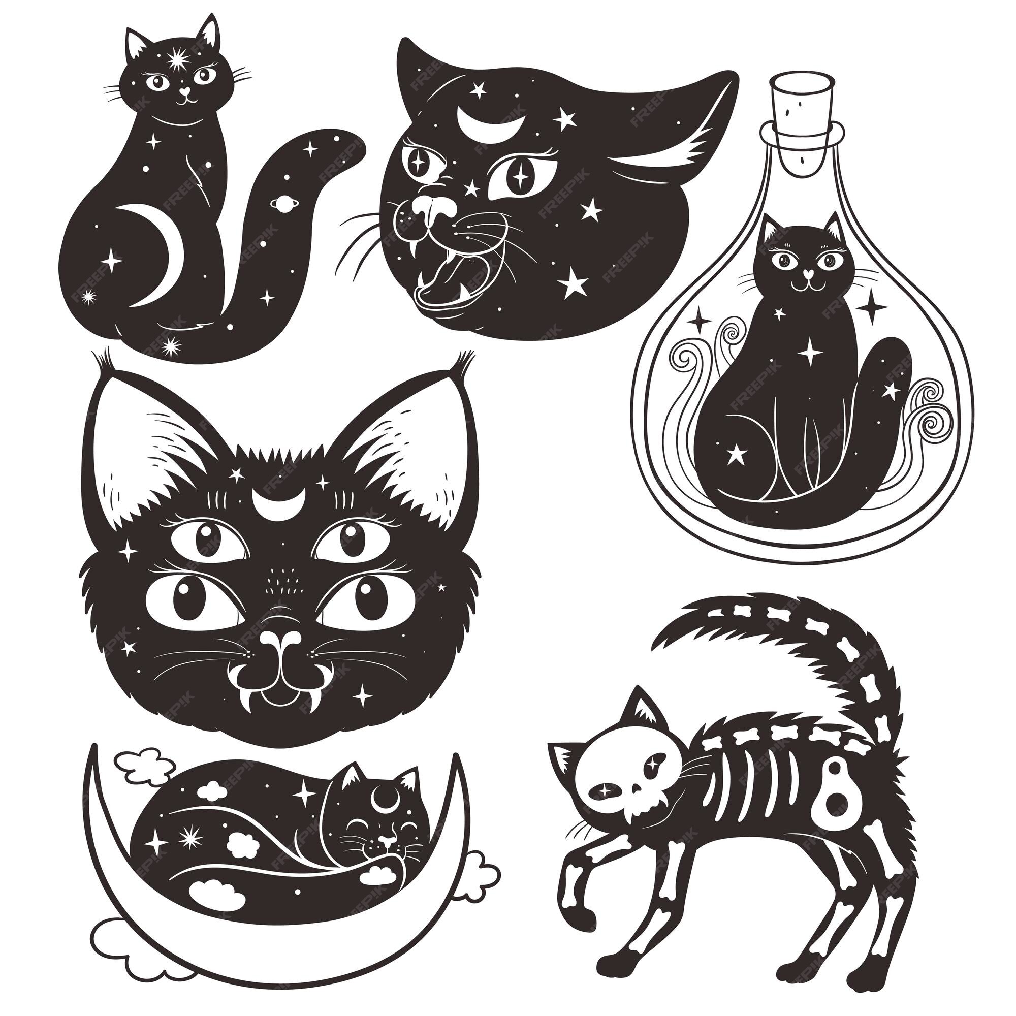 Cute esoteric magic halloween black cat icon vector, illustration on circle  with brush texture, for social media story and instagram highlights  21917933 Vector Art at Vecteezy