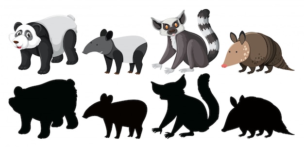 Vector set of exotic animals character