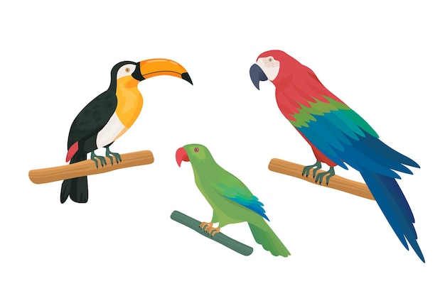 Set di uccelli esotici pappagalli colorati ai rami fauna tropicale e fauna selvatica foresta pluviale e giungla